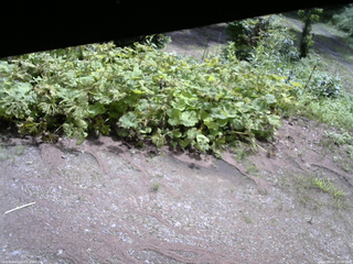 長野県菅平高原 ゆたか山荘 駐車場 2025/08/02 10:00