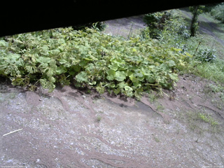 長野県菅平高原 ゆたか山荘 駐車場 2025/08/02 10:15