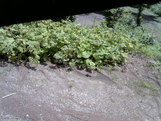 長野県菅平高原 ゆたか山荘 駐車場 2025/08/02 10:30