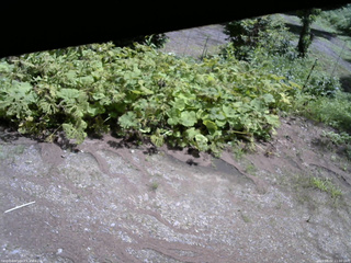 長野県菅平高原 ゆたか山荘 駐車場 2025/08/02 11:00