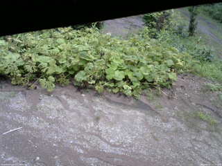 長野県菅平高原 ゆたか山荘 駐車場 2025/08/02 11:15