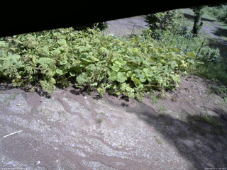 長野県菅平高原 ゆたか山荘 駐車場 2025/08/02 11:30