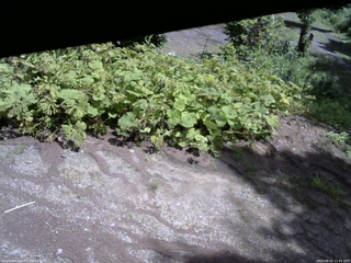 長野県菅平高原 ゆたか山荘 駐車場 2025/08/02 11:45