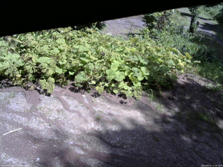 長野県菅平高原 ゆたか山荘 駐車場 2025/08/02 12:00