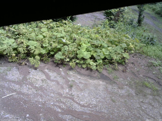 長野県菅平高原 ゆたか山荘 駐車場 2025/08/02 12:15