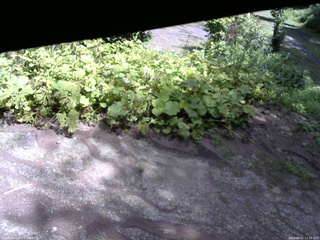 長野県菅平高原 ゆたか山荘 駐車場 2025/08/02 12:30