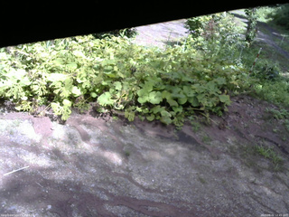 長野県菅平高原 ゆたか山荘 駐車場 2025/08/02 12:45