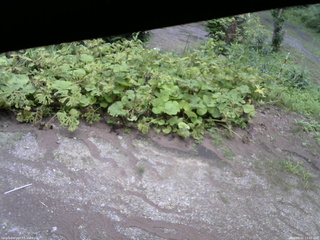 長野県菅平高原 ゆたか山荘 駐車場 2025/08/02 13:00