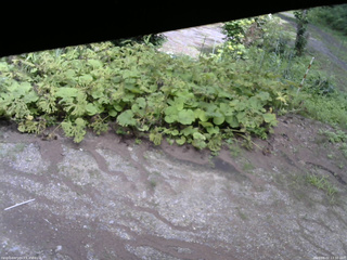 長野県菅平高原 ゆたか山荘 駐車場 2025/08/02 13:30