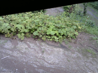 長野県菅平高原 ゆたか山荘 駐車場 2025/08/02 13:45