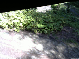 長野県菅平高原 ゆたか山荘 駐車場 2025/08/02 14:00