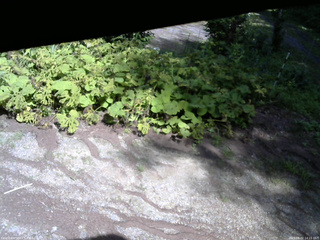 長野県菅平高原 ゆたか山荘 駐車場 2025/08/02 14:15