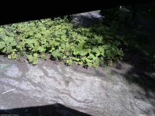 長野県菅平高原 ゆたか山荘 駐車場 2025/08/02 14:30