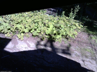 長野県菅平高原 ゆたか山荘 駐車場 2025/08/02 15:15