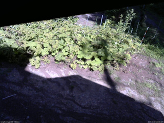 長野県菅平高原 ゆたか山荘 駐車場 2025/08/02 15:30