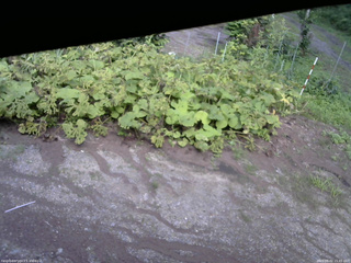 長野県菅平高原 ゆたか山荘 駐車場 2025/08/02 15:45
