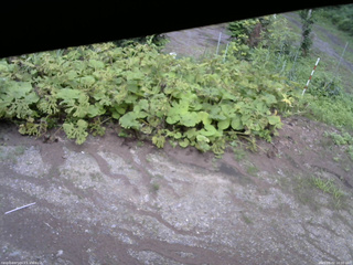 長野県菅平高原 ゆたか山荘 駐車場 2025/08/02 16:00
