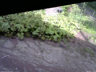 長野県菅平高原 ゆたか山荘 駐車場 2025/08/02 16:15