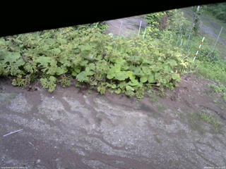 長野県菅平高原 ゆたか山荘 駐車場 2025/08/02 16:30