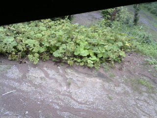 長野県菅平高原 ゆたか山荘 駐車場 2025/08/02 16:45