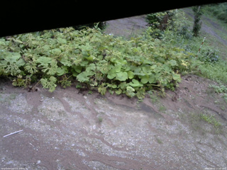 長野県菅平高原 ゆたか山荘 駐車場 2025/08/02 17:45