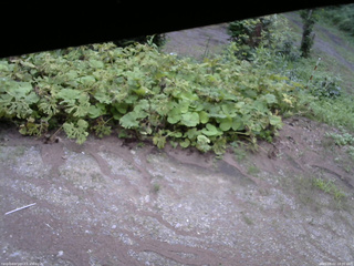 長野県菅平高原 ゆたか山荘 駐車場 2025/08/02 18:00