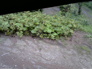 長野県菅平高原 ゆたか山荘 駐車場 2025/08/02 18:15