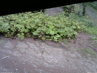 長野県菅平高原 ゆたか山荘 駐車場 2025/08/02 18:30