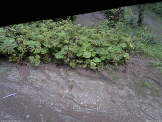 長野県菅平高原 ゆたか山荘 駐車場 2025/08/02 18:45