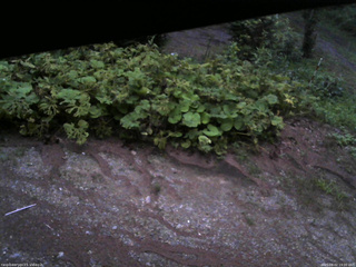 長野県菅平高原 ゆたか山荘 駐車場 2025/08/02 19:00