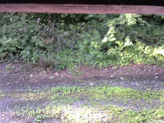 長野県菅平高原 ゆたか山荘 南側 2025/08/03 07:00