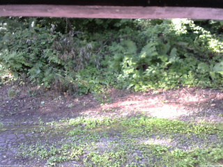 長野県菅平高原 ゆたか山荘 南側 2025/08/03 07:15