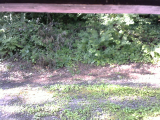 長野県菅平高原 ゆたか山荘 南側 2025/08/03 07:30