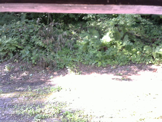 長野県菅平高原 ゆたか山荘 南側 2025/08/03 07:45