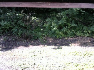 長野県菅平高原 ゆたか山荘 南側 2025/08/03 08:00