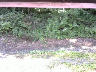 長野県菅平高原 ゆたか山荘 南側 2025/08/03 08:45