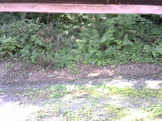 長野県菅平高原 ゆたか山荘 南側 2025/08/03 09:00