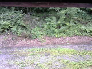 長野県菅平高原 ゆたか山荘 南側 2025/08/03 09:30