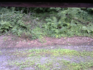 長野県菅平高原 ゆたか山荘 南側 2025/08/03 09:45