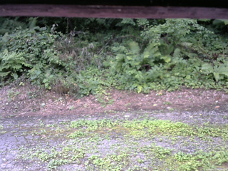 長野県菅平高原 ゆたか山荘 南側 2025/08/03 10:30