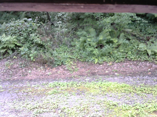 長野県菅平高原 ゆたか山荘 南側 2025/08/03 11:00