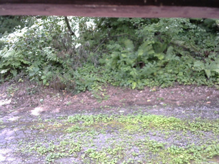 長野県菅平高原 ゆたか山荘 南側 2025/08/03 11:15