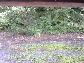 長野県菅平高原 ゆたか山荘 南側 2025/08/03 11:30