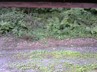 長野県菅平高原 ゆたか山荘 南側 2025/08/03 12:00