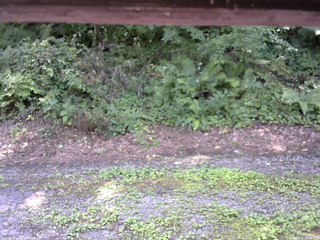 長野県菅平高原 ゆたか山荘 南側 2025/08/03 12:45