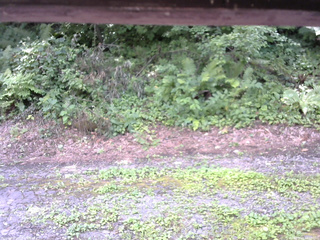 長野県菅平高原 ゆたか山荘 南側 2025/08/03 13:00