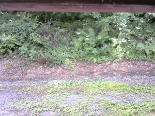 長野県菅平高原 ゆたか山荘 南側 2025/08/03 13:15