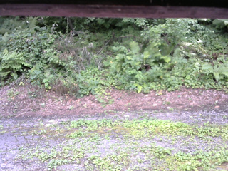 長野県菅平高原 ゆたか山荘 南側 2025/08/03 13:30