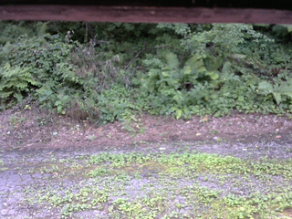 長野県菅平高原 ゆたか山荘 南側 2025/08/03 13:45