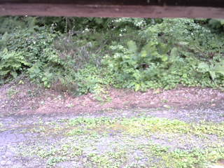 長野県菅平高原 ゆたか山荘 南側 2025/08/03 14:00